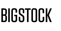 Регистрация на Bigstock и загрузка на фотобанк