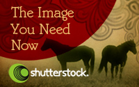 как купить фотографии через Shutterstock